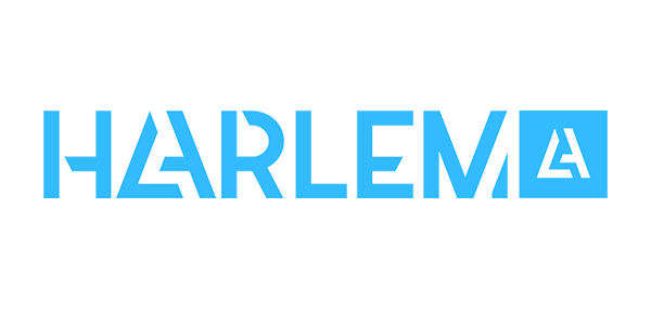 harlemkitesurfing.com
